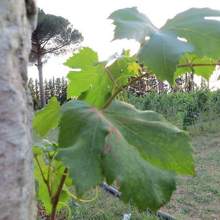 Agriturismo Occhineri Porto Cesareo Kültér fotó