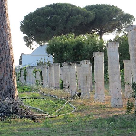 Agriturismo Occhineri Porto Cesareo Kültér fotó