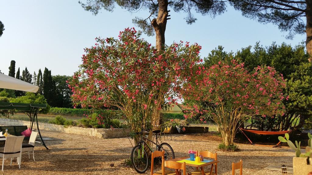 Agriturismo Occhineri Porto Cesareo Kültér fotó