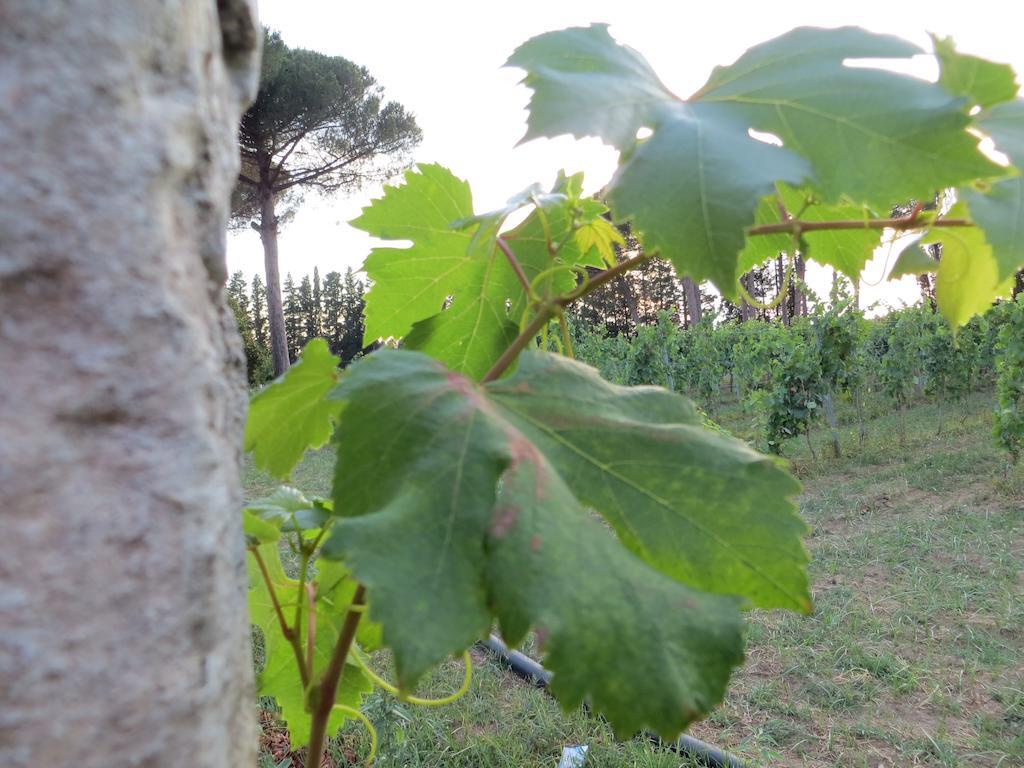 Agriturismo Occhineri Porto Cesareo Kültér fotó