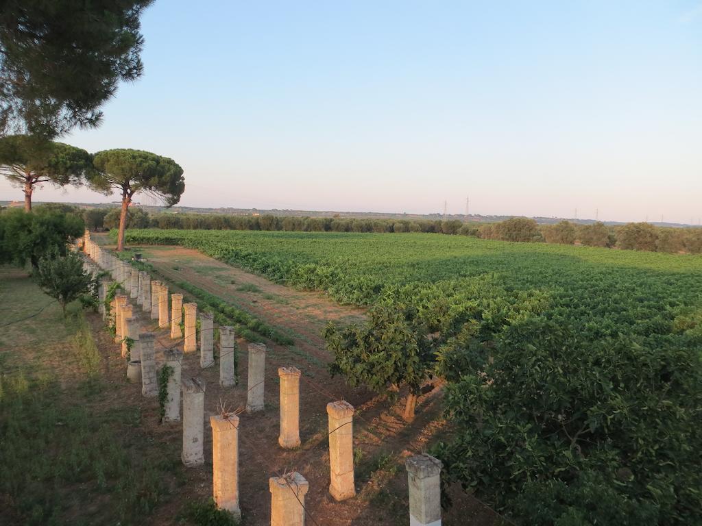 Agriturismo Occhineri Porto Cesareo Kültér fotó