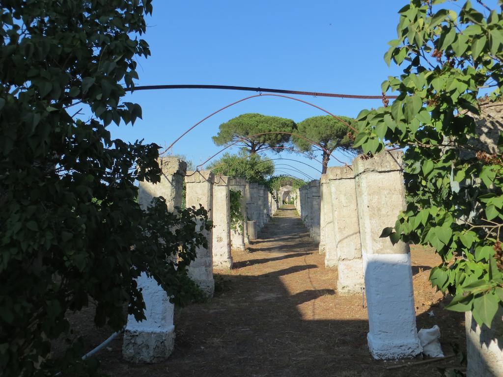 Agriturismo Occhineri Porto Cesareo Kültér fotó