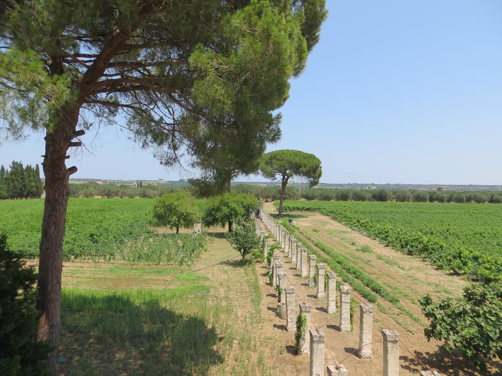 Agriturismo Occhineri Porto Cesareo Kültér fotó